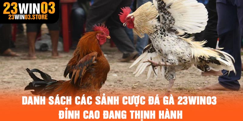 Danh sách các sảnh cược đá gà 23Win03 đỉnh cao đang thịnh hành
