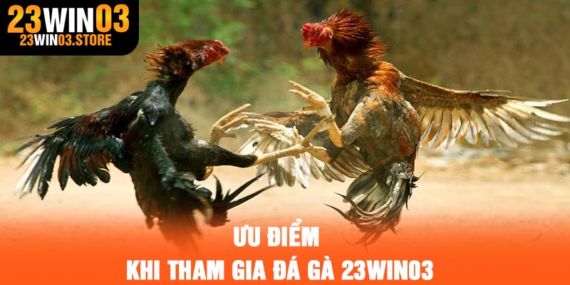 Ưu điểm khi tham gia đá gà 23Win03